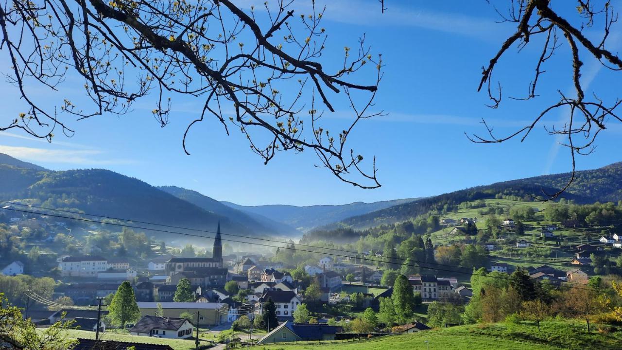 Gite Des 3 Jonquilles Saint-Maurice-sur-Moselle Kültér fotó
