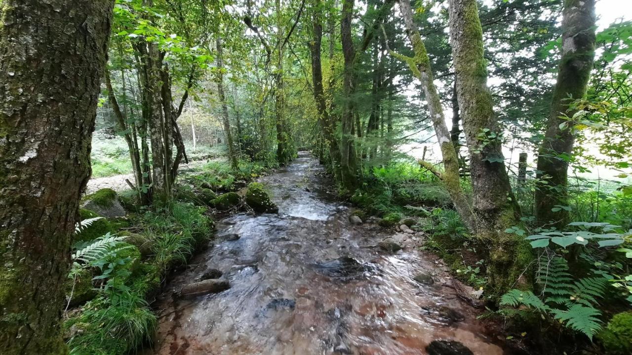 Gite Des 3 Jonquilles Saint-Maurice-sur-Moselle Kültér fotó