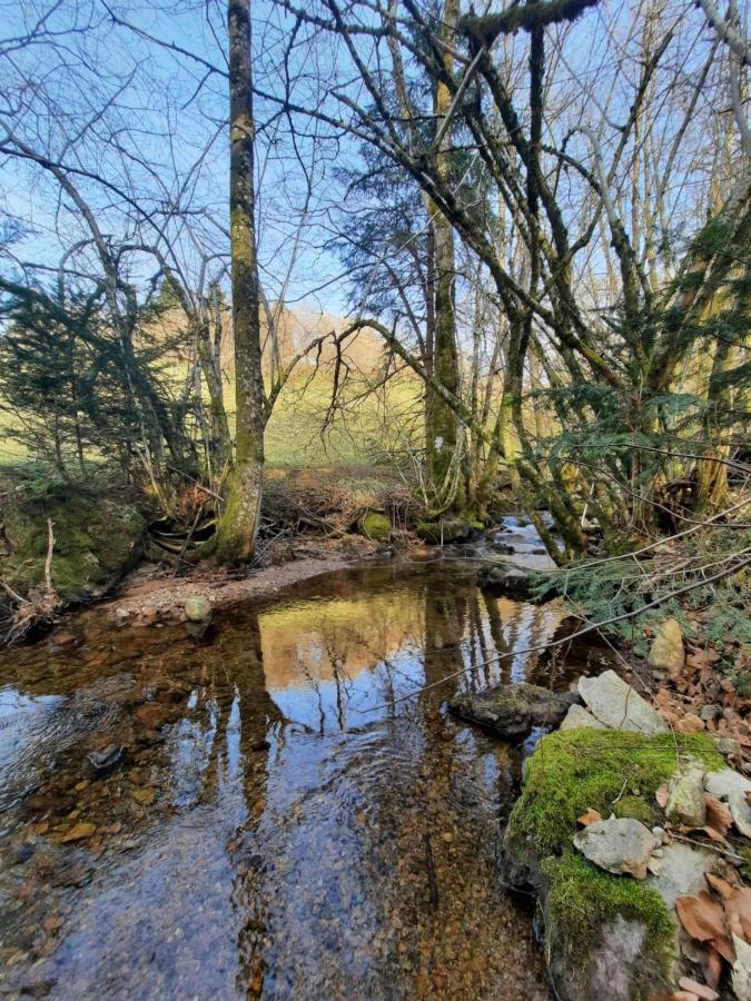 Gite Des 3 Jonquilles Saint-Maurice-sur-Moselle Kültér fotó