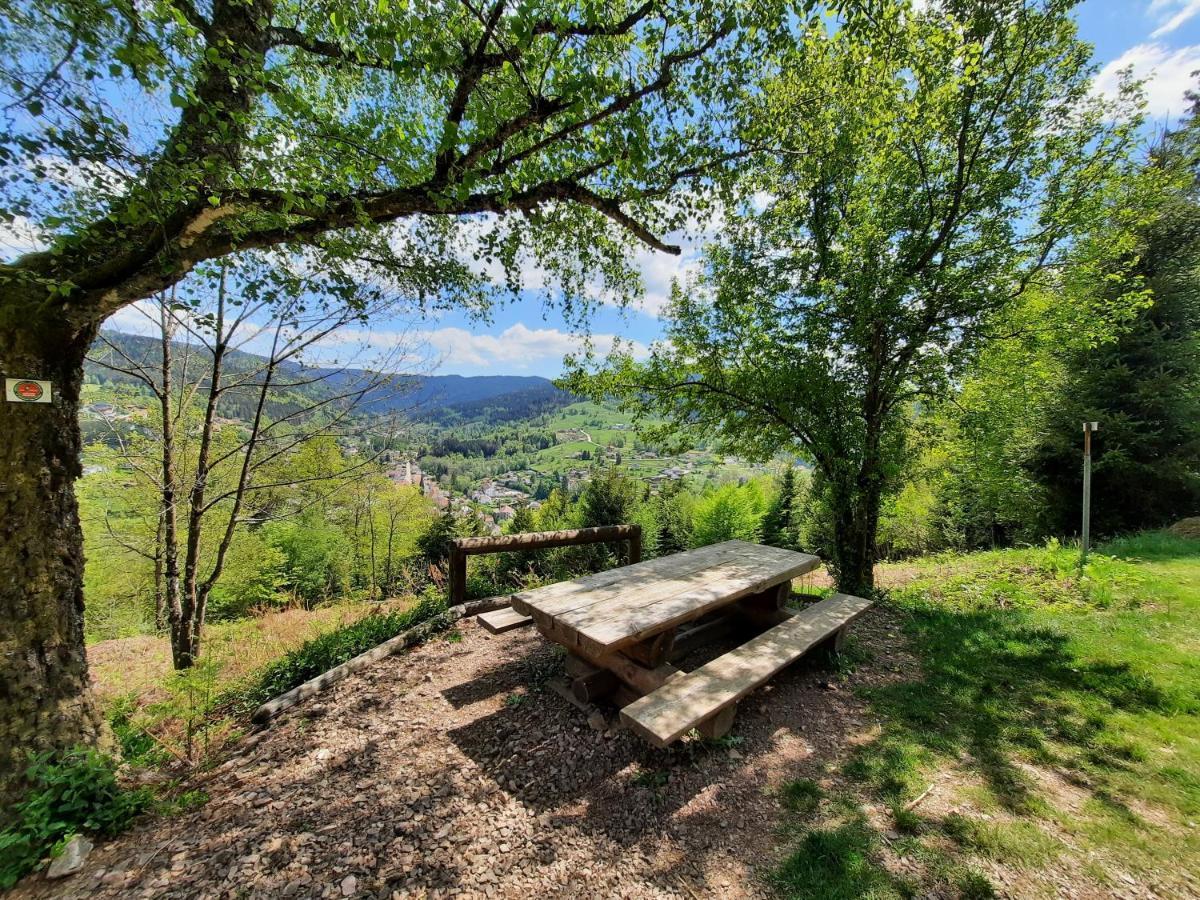Gite Des 3 Jonquilles Saint-Maurice-sur-Moselle Kültér fotó