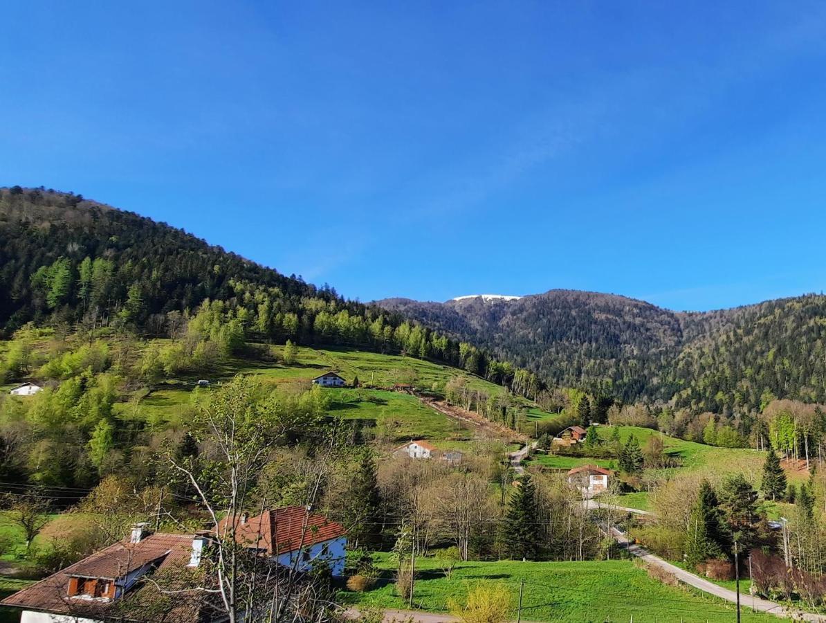 Gite Des 3 Jonquilles Saint-Maurice-sur-Moselle Kültér fotó