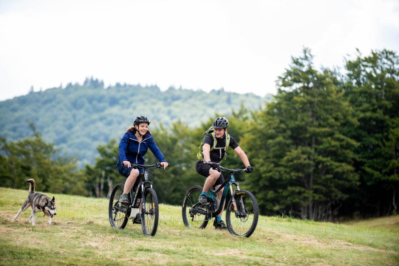 Gite Des 3 Jonquilles Saint-Maurice-sur-Moselle Kültér fotó