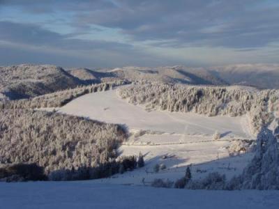 Gite Des 3 Jonquilles Saint-Maurice-sur-Moselle Kültér fotó